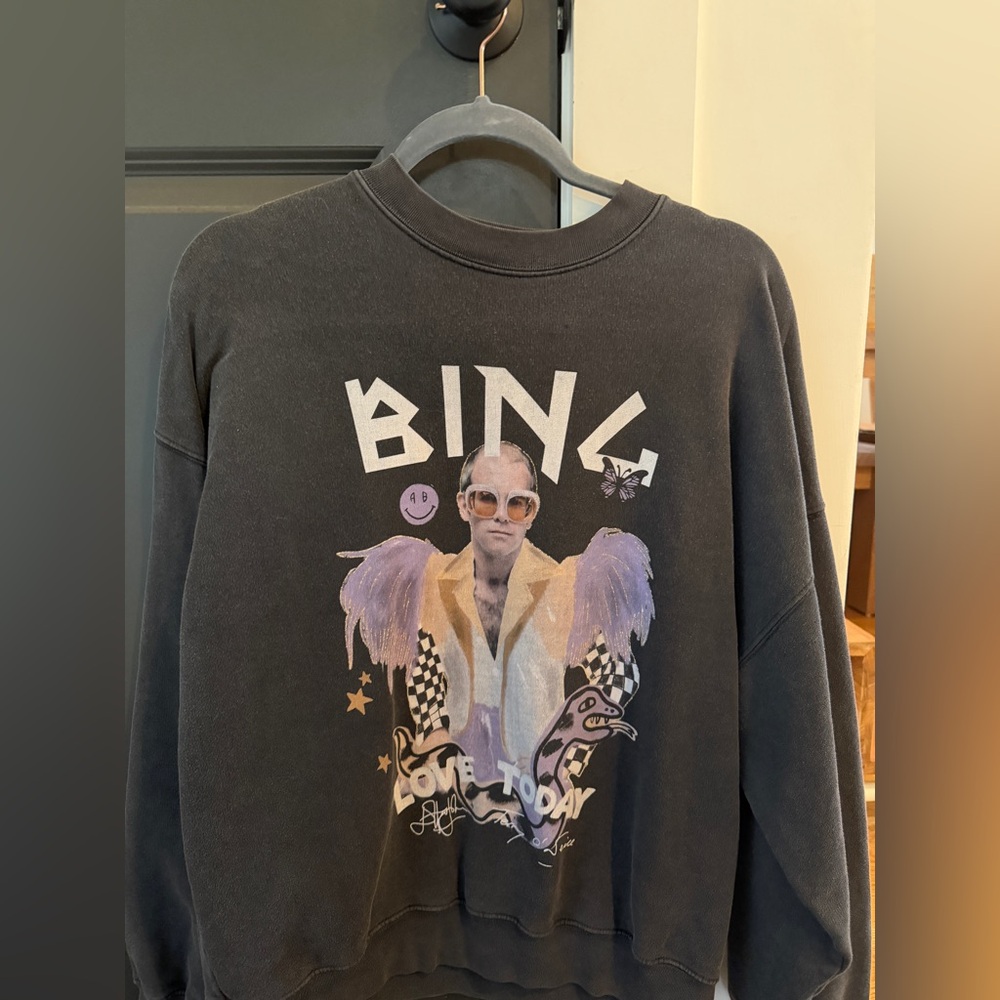 Anine bing sweatshirt